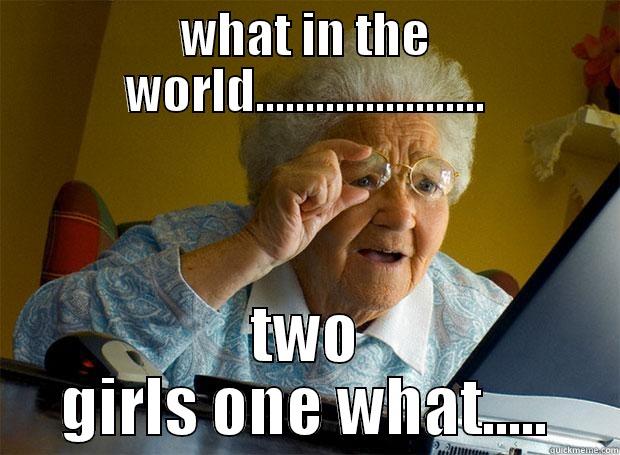 WHAT IN THE WORLD....................... TWO GIRLS ONE WHAT..... Grandma finds the Internet
