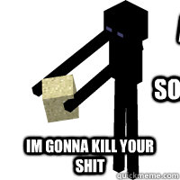 Act Calm Im Gonna Kill Your Shit Someones Looks  Minecraft Enderman