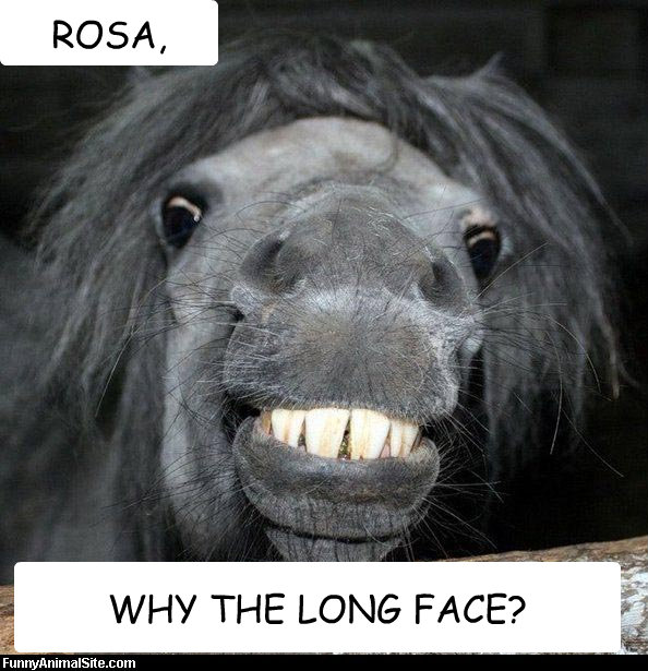 WHY THE LONG FACE? ROSA,   