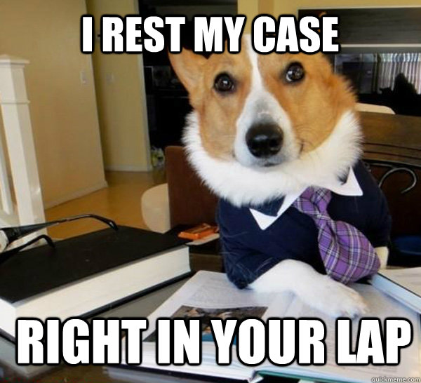 I rest my case Right in your lap - I rest my case Right in your lap  Lawyer Dog