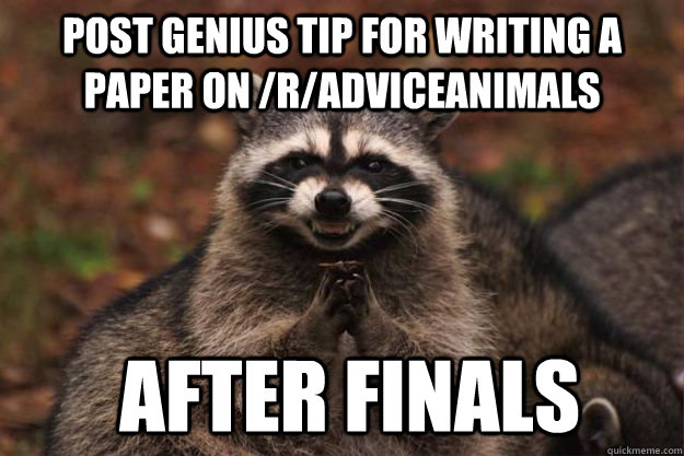 Post genius tip for writing a paper on /r/adviceanimals  after finals - Post genius tip for writing a paper on /r/adviceanimals  after finals  Evil Plotting Raccoon