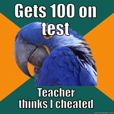 GETS 100 ON TEST TEACHER THINKS I CHEATED Paranoid Parrot