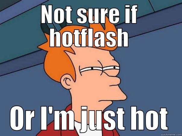 NOT SURE IF HOTFLASH OR I'M JUST HOT Futurama Fry