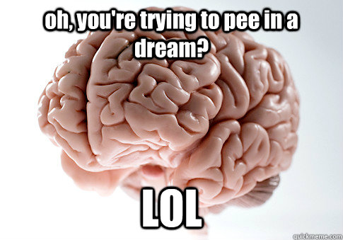 oh, you're trying to pee in a dream? LOL   Scumbag Brain
