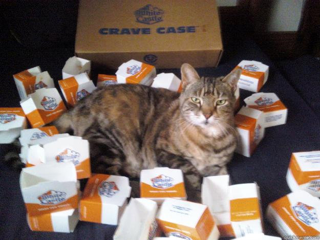 Law of Dinner Table Attendance 

Cats must attend all meals when anything good is served.
   