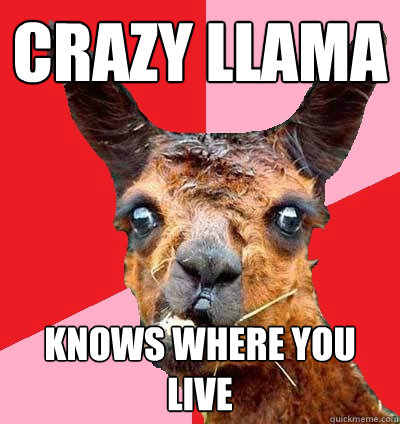 Crazy llama knows where you live - Crazy llama knows where you live  Crazy Llama
