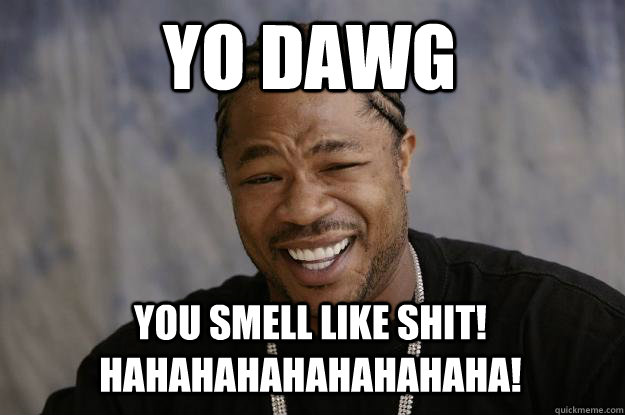 YO DAWG  You smell like shit! HAHAHAHAHAHAHAHAHA!  Xzibit meme