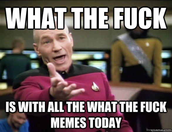 What the fuck is with all the what the fuck memes today  Annoyed Picard HD