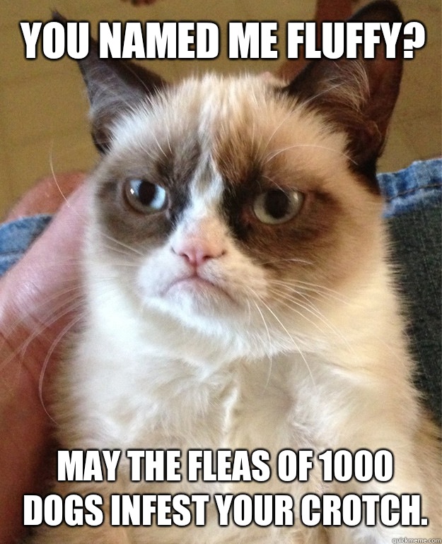 You named me Fluffy? May the fleas of 1000 dogs infest your crotch.  Grumpy Cat