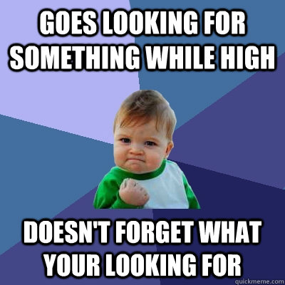 Goes looking for something while high Doesn't forget what your looking for  Success Kid