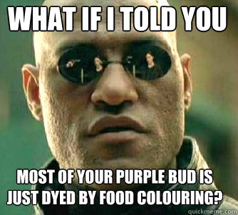 what if i told you Most of your purple bud is just dyed by food colouring?  Matrix Morpheus