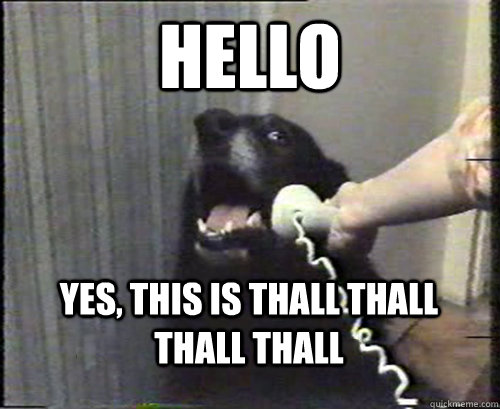 HELLO YES, THIS IS thall thall thall thall  - HELLO YES, THIS IS thall thall thall thall   This is dog