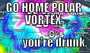 Polar Vortex - GO HOME POLAR VORTEX,                         YOU'RE DRUNK. Socially Awkward Penguin