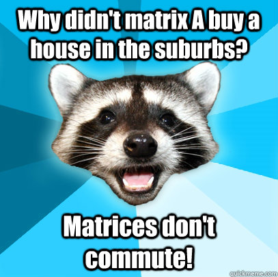 Why didn't matrix A buy a house in the suburbs? Matrices don't commute!  Lame Pun Coon