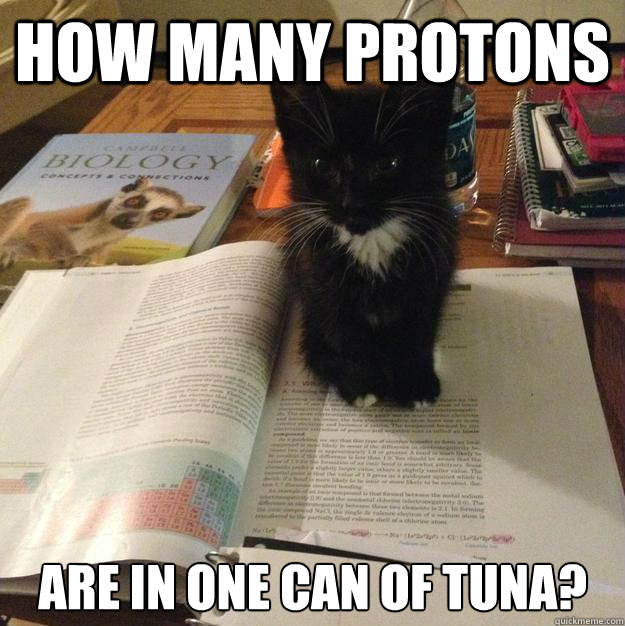 How many protons are in one can of tuna?  Procrastination Kitten