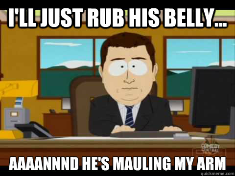 I'll just rub his belly... Aaaannnd he's mauling my arm  Aaand its gone