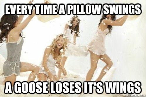 Every time a pillow swings A goose loses it's wings  Pillow Fight