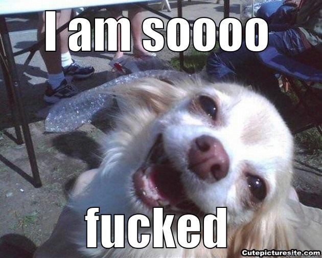 I AM SOOOO FUCKED Misc