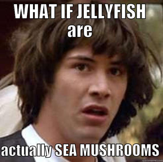 WHAT IF JELLYFISH ARE  ACTUALLY SEA MUSHROOMS conspiracy keanu