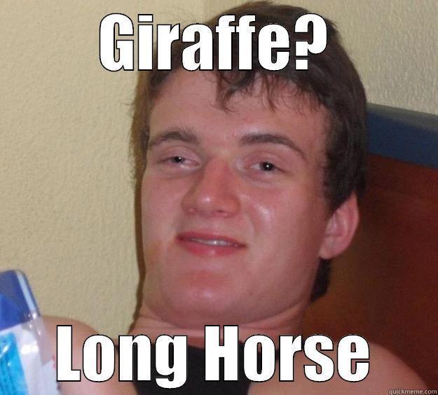 GIRAFFE? LONG HORSE 10 Guy