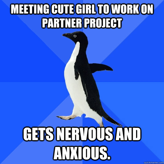 Meeting cute girl to work on Partner project Gets nervous and anxious.  Socially Awkward Penguin