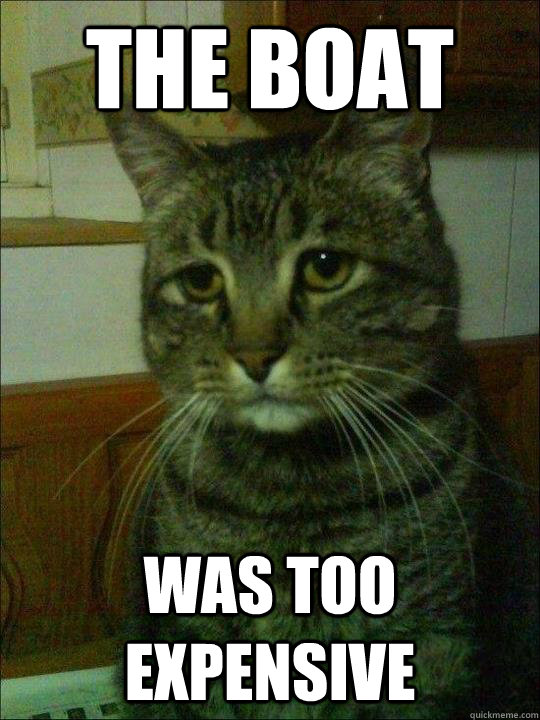 the boat was too expensive  Depressed cat