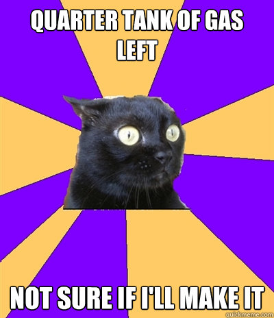 quarter tank of gas left not sure if I'll make it  Anxiety Cat