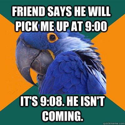 Friend says he will pick me up at 9:00 It's 9:08. He isn't coming. - Friend says he will pick me up at 9:00 It's 9:08. He isn't coming.  Paranoid Parrot