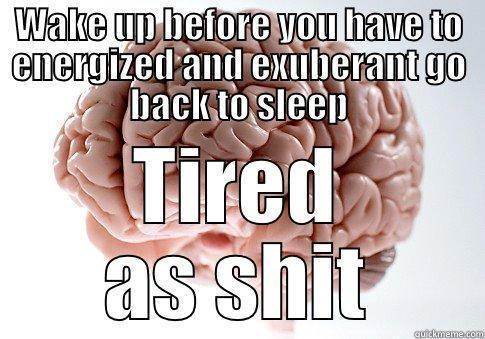 WAKE UP BEFORE YOU HAVE TO ENERGIZED AND EXUBERANT GO BACK TO SLEEP TIRED AS SHIT Scumbag Brain