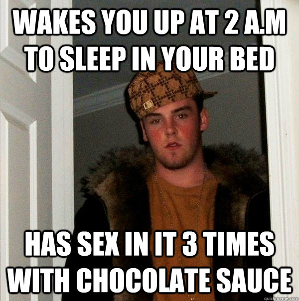 Wakes you up at 2 A.M to sleep in your bed  Has sex in it 3 times with chocolate sauce    Scumbag Steve