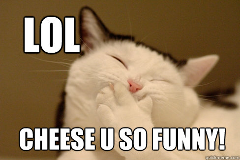lol Cheese u so funny!  Laughing Cat