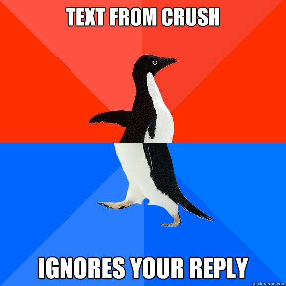 Text from crush ignores your reply  Socially Awesome Awkward Penguin