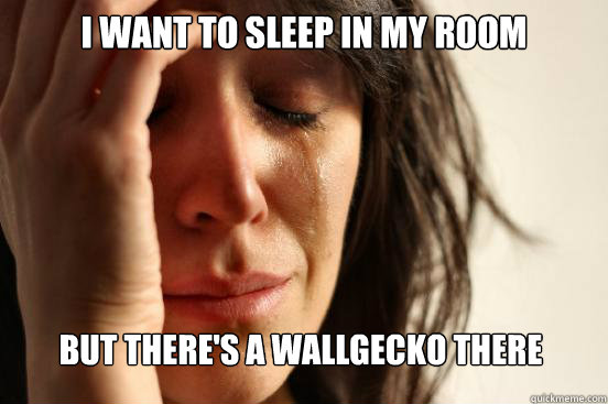 i want to sleep in my room BUT THERE'S A WALLGECKO THERE  First World Problems