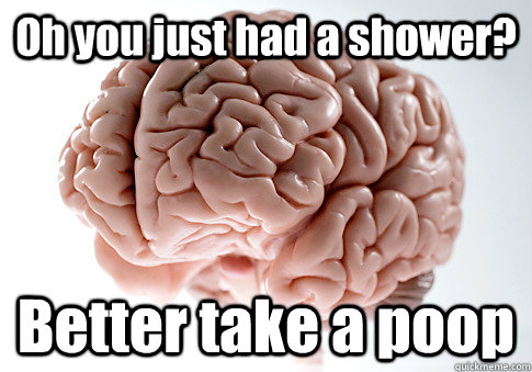Oh you just had a shower? Better take a poop   Scumbag Brain