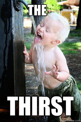 The Thirst - The Thirst  The Thirst