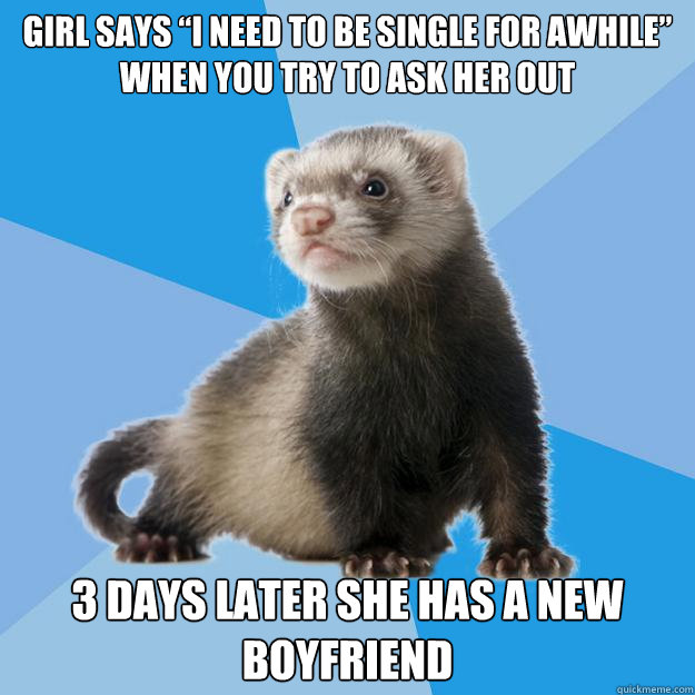 GIRL SAYS “I NEED TO BE SINGLE FOR AWHILE”
WHEN YOU TRY TO ASK HER OUT 3 DAYS LATER SHE HAS A NEW BOYFRIEND - GIRL SAYS “I NEED TO BE SINGLE FOR AWHILE”
WHEN YOU TRY TO ASK HER OUT 3 DAYS LATER SHE HAS A NEW BOYFRIEND  Friend Zone Ferret