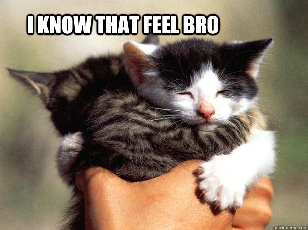 I know that feel bro  - I know that feel bro   Misc