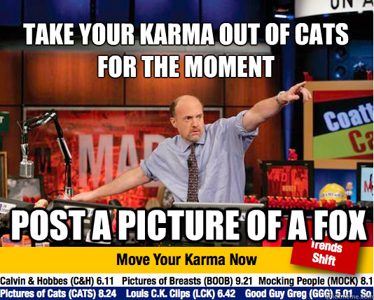Take your karma out of cats for the moment
 post a picture of a fox  Mad Karma with Jim Cramer