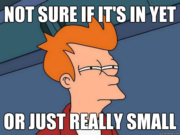 Not sure if it's in yet Or just really small  Futurama Fry