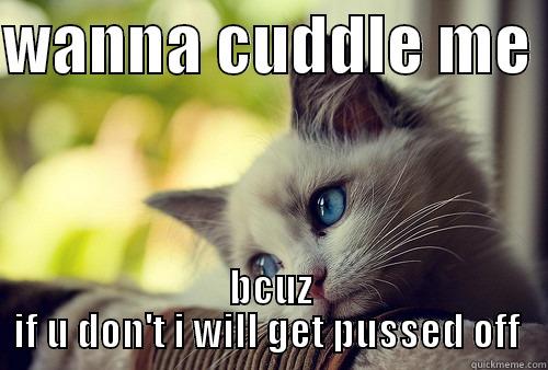 WANNA CUDDLE ME  BCUZ IF U DON'T I WILL GET PUSSED OFF  First World Problems Cat