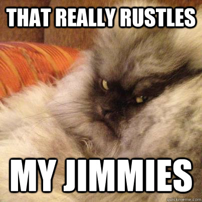 That really rustles my jimmies - That really rustles my jimmies  Misc