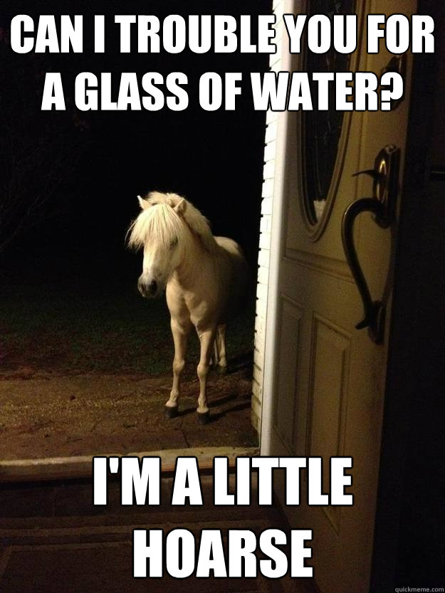 Can I trouble you for a glass of water? I'm a little hoarse  