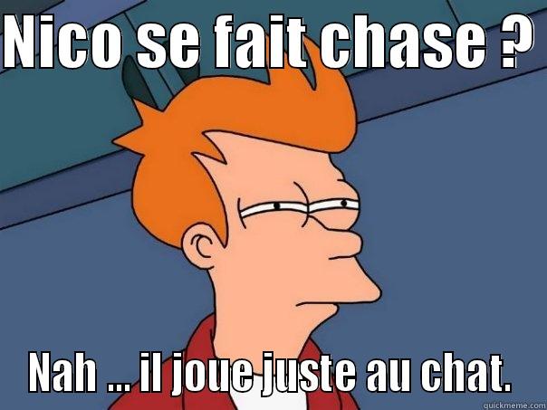 NICO SE FAIT CHASE ?  NAH ... IL JOUE JUSTE AU CHAT. Futurama Fry