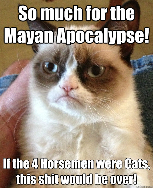 So much for the Mayan Apocalypse! If the 4 Horsemen were Cats, this shit would be over!  Angry Cat