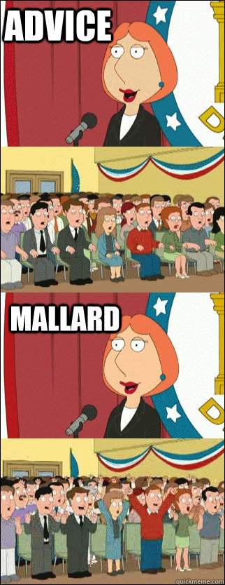 advice mallard  Mayor Lois