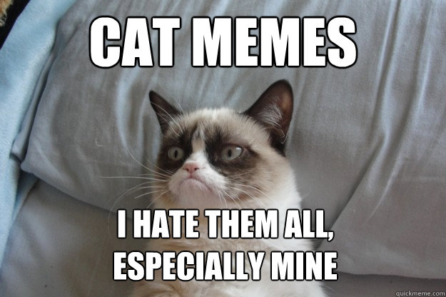 Cat memes i hate them all, 
especially mine  GrumpyCatOL