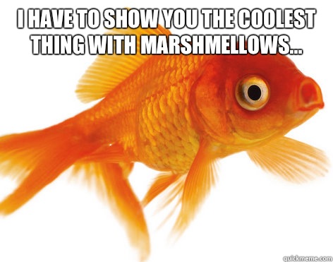 I have to show you the coolest thing with marshmellows...   Forgetful Fish