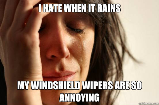 i hate when it rains my windshield wipers are so annoying
     First World Problems