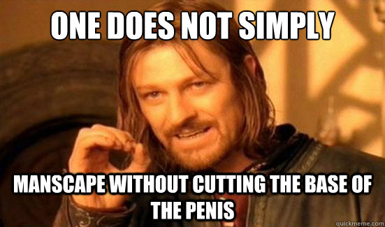 One Does Not Simply Manscape without cutting the base of the penis - One Does Not Simply Manscape without cutting the base of the penis  Boromir