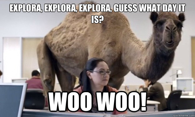 Explora, Explora, Explora, Guess what day it is? Woo woo!  Hump Day Camel